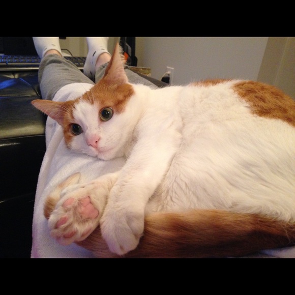 Meet your Posher, C - Picture 1 of 1